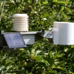 Wetterstation